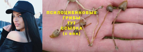 меф Новозыбков