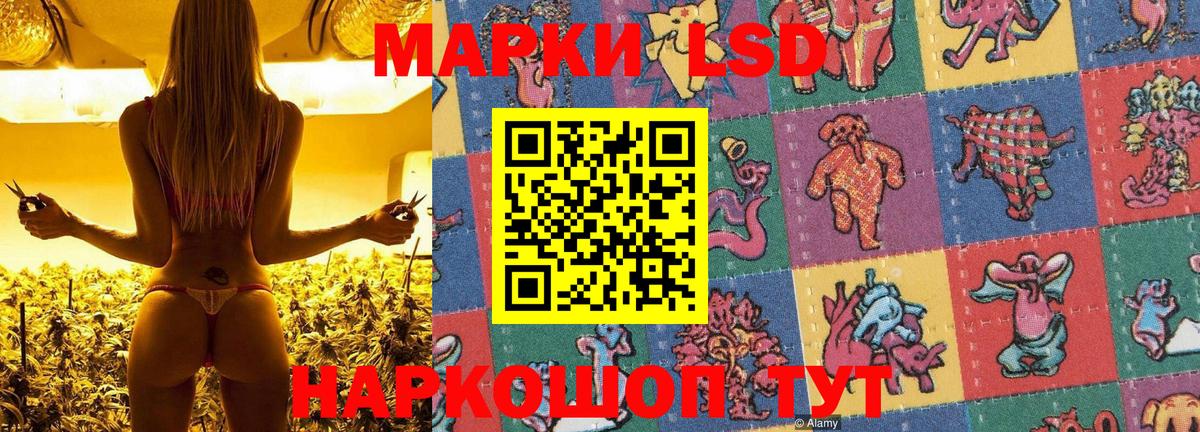 Марки NBOMe 1,5мг  Марки NBOMe 1,5мг  Северодвинск  цена   Вход с VPN 