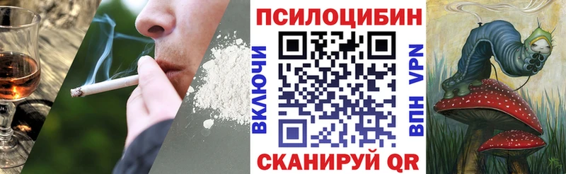 Псилоцибиновые грибы Psilocybine cubensis  shop наркотические препараты  Северодвинск  где купить наркотик 